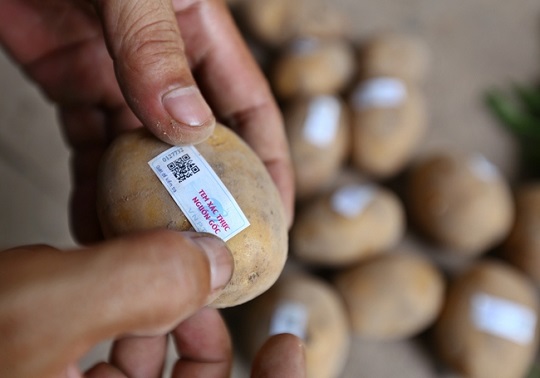 VNPT Check tự tin hội nhập quốc tế với giải Đồng Stevie Awards 2019